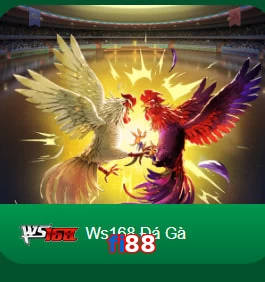 fi88